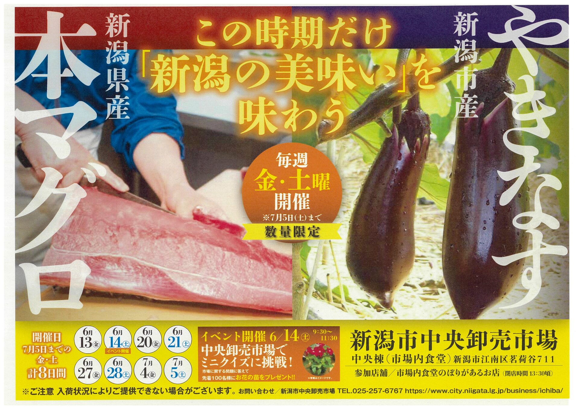 新潟県産の本マグロ・やきなす を食べてみませんか！